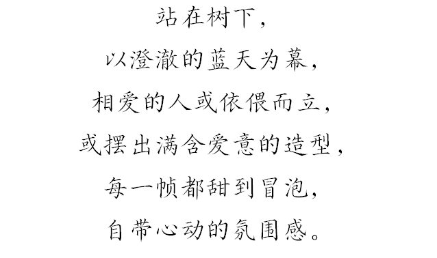 上新！珠海“顶流爱心树”浪漫升级，出片率100%！