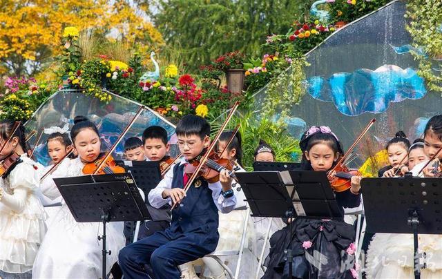 现场火爆！武汉今秋最大花展开幕