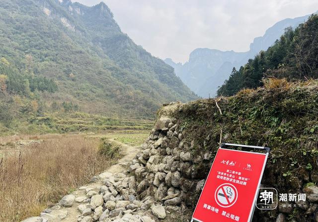 一场摸索于山野、流量与规则之间的“荒野求生”