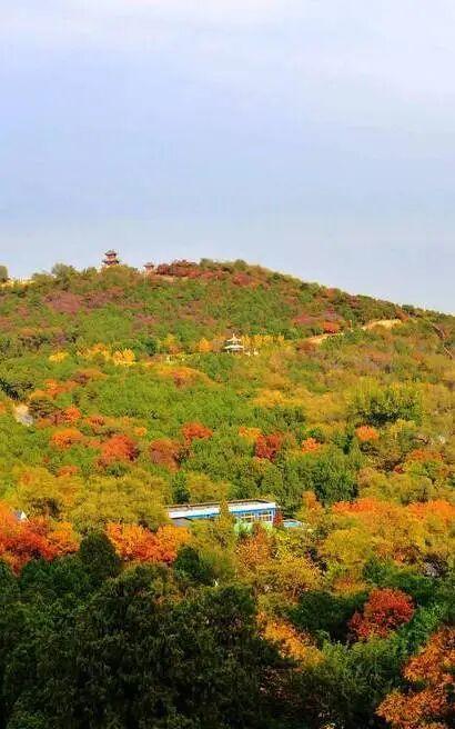 人少景美！北京这些古刹红叶正在最佳观赏期！