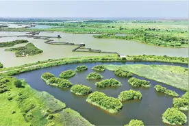 黄河连续25年不断流，在山东你可以这样用黄河水图片