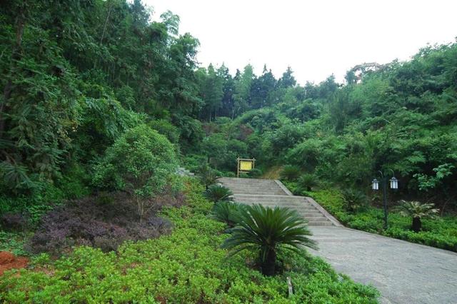 开放共享公园绿地，建德+2！在你家附近吗？