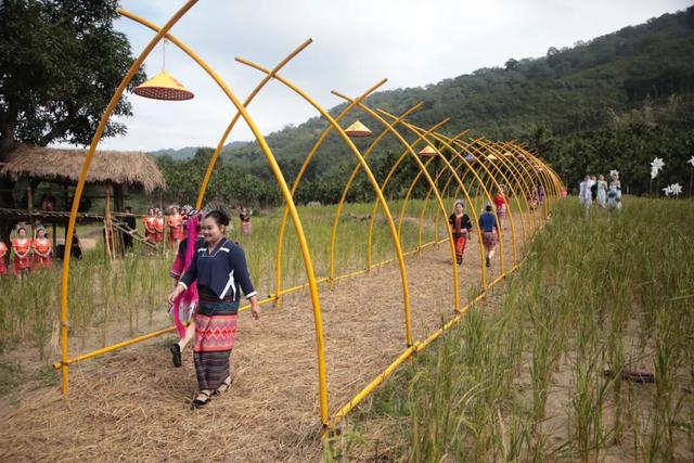 多图+视频！一起回看2025年白沙“啦奥门”雨林与您山兰文化活动精彩瞬间