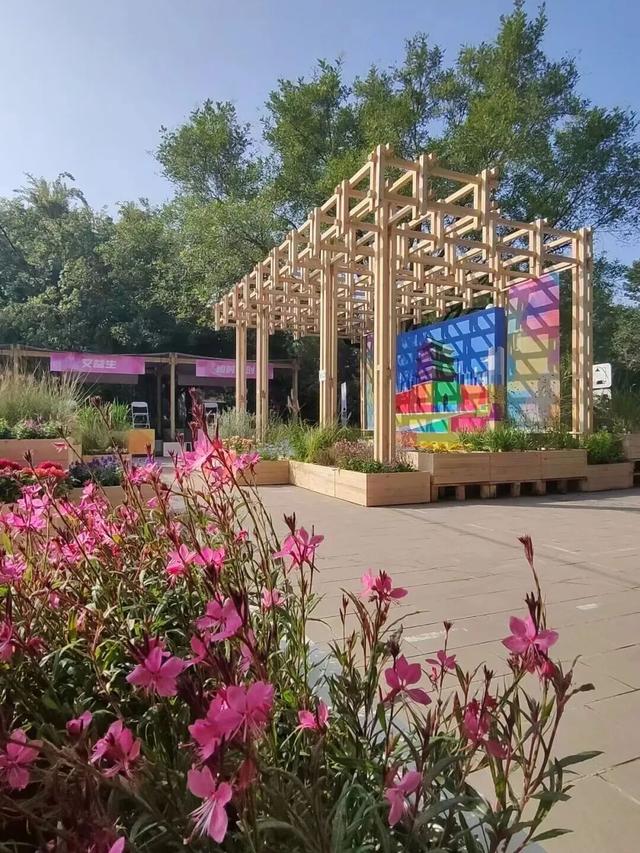 永定门花园市集：微更新唤醒古都活力，开启金秋文化盛宴
