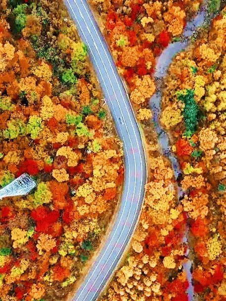层林尽染、漫山绚烂，这就是辽东的秋天！