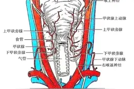 女生唱歌突然跑调查出恶性肿瘤 专家：可造成声音嘶哑，严重会死亡图片