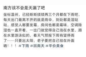 温州多日相对湿度100%！市民吐槽：智能手表误以为我在游泳图片