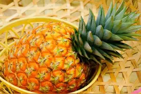 为了人类的一口香甜，菠萝放弃了“爱情”图片