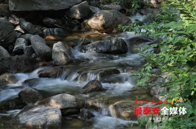 青绿泰山 清凉一夏丨夏天的正确打开方式！泰山彩石溪承包你的清凉自由