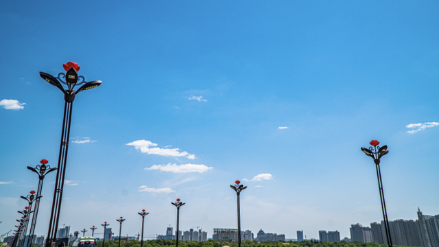 起猛了，我在洛阳被「牡丹」包围了！