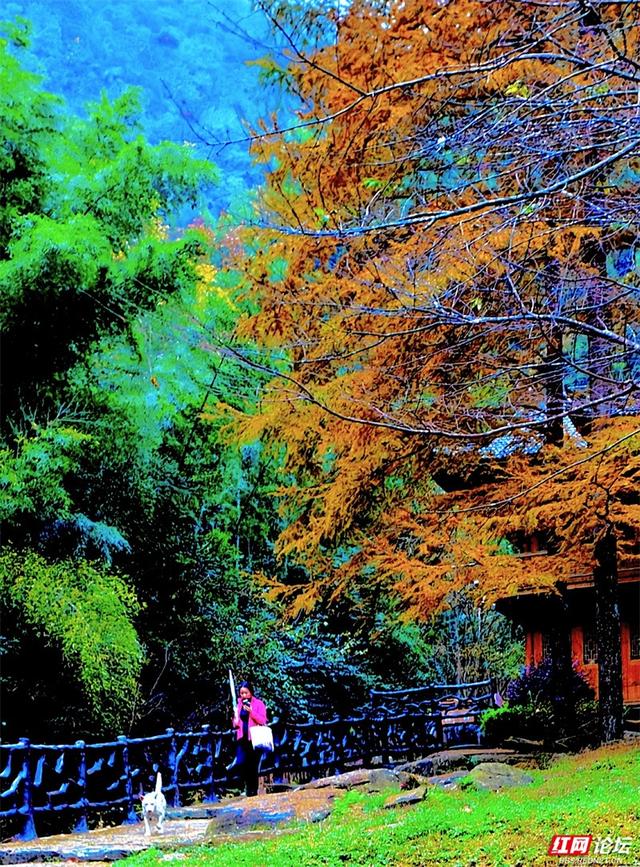 岁暖时刻丨奉嘎山：一座会呼吸的山，把人间烟火酿成了诗