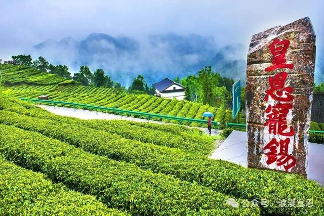 GO GO GO！跟随湖北知音名导游宣恩~