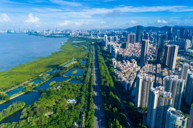 国际红树林中心又添新成员！全球“湿地中心星级奖单项奖”花落深圳