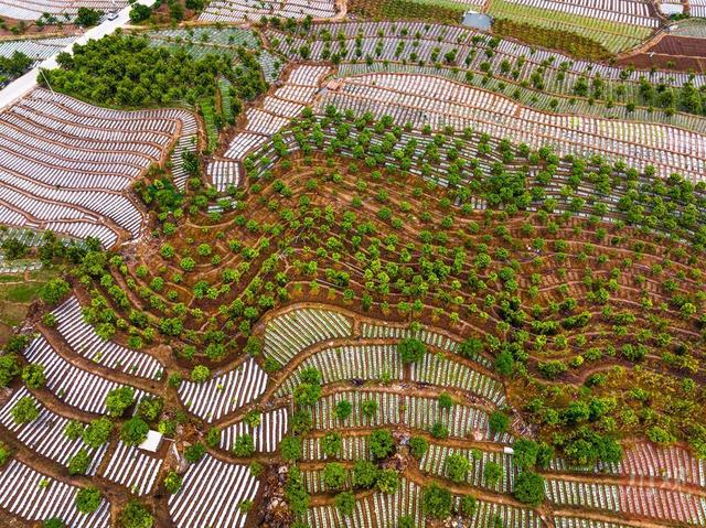 C视觉·“镜”行时㉓|七彩云南：26个民族的诗意家园（人文篇）