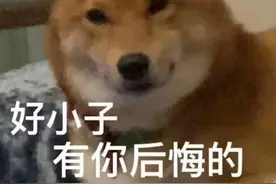 辅导作业崩溃用石榴砸破孩子脾脏！你患上“恐辅症”了吗？图片