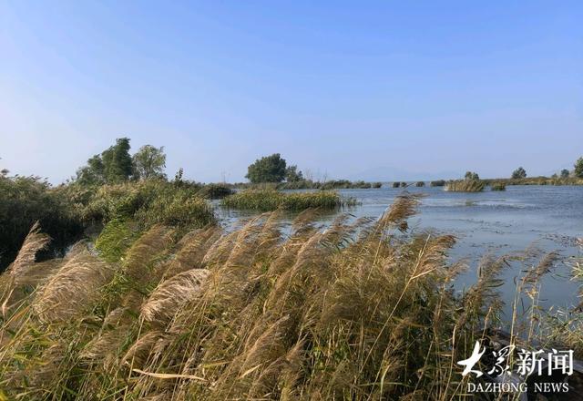 探访宝藏小城｜东平：一湖一佛一坝，绘就文旅“三原色”