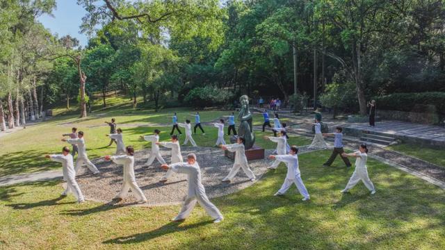 绿美云山丨以森林入药 漫享云山身心疗愈