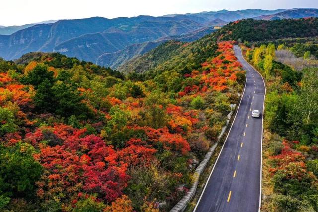 何处红叶醉人眼？何物最暖游子心？