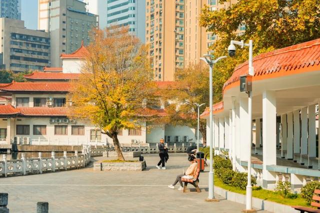 在江汉，听见公园里的秋色私语