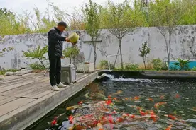 【奋战“百千万工程”】荷塘镇吕步村：抓好“锦鲤”“芥兰”特色 探索兴业富民新路径图片