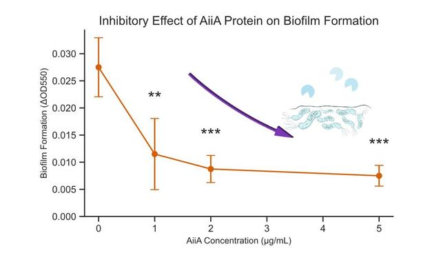 一起照亮更广阔的世界丨北京大学代表队参加国际基因工程机器大赛2025年参赛总结