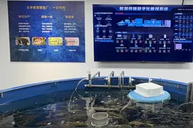 建设产业“硬空间”、培育应用“软实力”：武昌数字经济向“新”而行图片