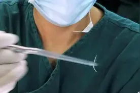 想大口炫草鱼但是又怕卡刺？“无刺”草鱼来了！图片