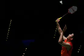 阵容公布！谌龙、李龙大、何冰娇等名将都要来合肥图片