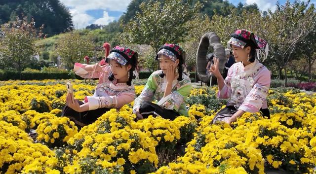 【山水黔南多奇幻】贵定金秋篮球赛与非遗体验、菊展共绘乡村盛景