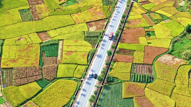 镜头｜壮美广西·十一月