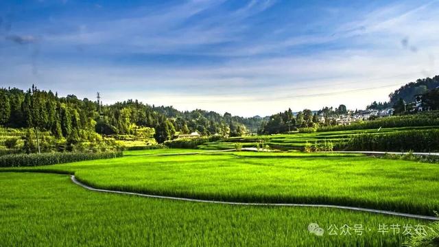 毕节不止有“悬崖村”，这些田园风光更美！
