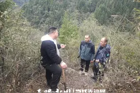 无人机巡飞  热成像监测  电子语音杆 |麻阳河保护区老护林员用上防火“新三样”图片