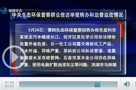 中央生态环保督察群众信访举报转办和边督边改情况图片