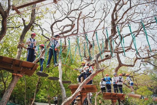 绿美云山丨以森林入药 漫享云山身心疗愈