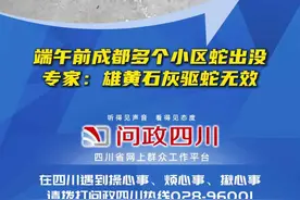 问政｜蛇年端午前，成都多个小区“蛇出没”？专家回复来了图片