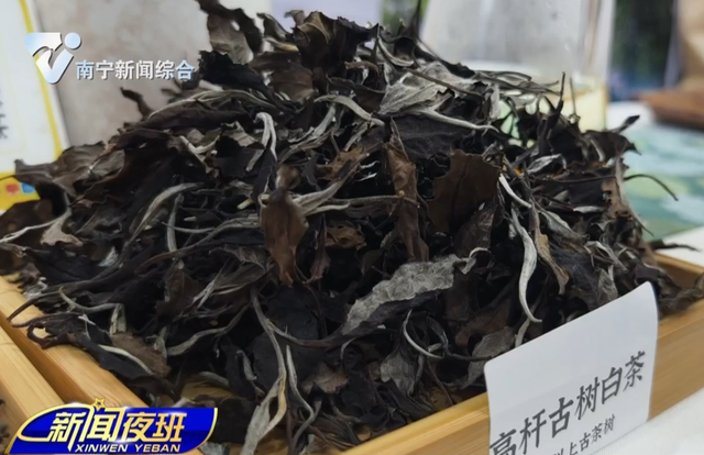 明天开逛！东博会公众开放日，看这篇就够了