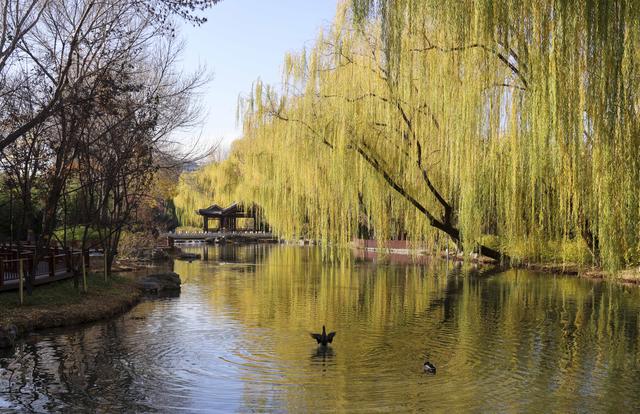 北京二环路边的园林风景