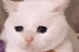 半岛观察丨“闭眼除夕睁眼初七”？有人发觉“失眠、心慌胸闷”，你中招了吗？图片