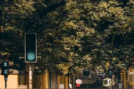 “这是东方最美街道”图片