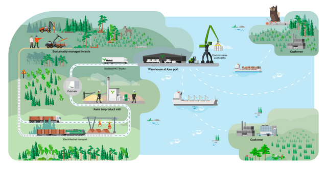 【环球】从北欧波的尼亚湾到全球市场：凯米工厂木浆的旅程
