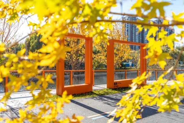 今年，朝阳有“加长版”秋日心动