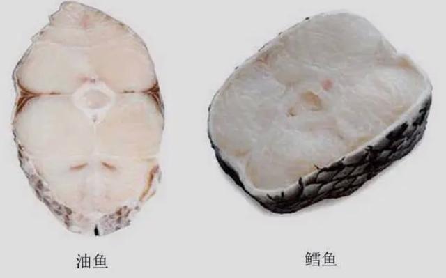 深海银鳕鱼 2026年深海银鳕鱼的营养价值及功效