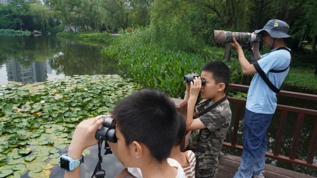 跨年别宅家！武汉公园元旦3天玩法全攻略来了