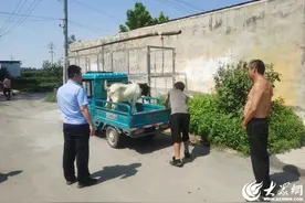 东昌府公安分局韩集派出所快速帮助群众寻回大公羊图片