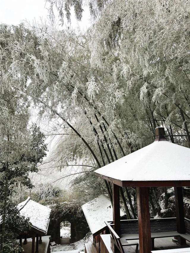 多地下雪！广西限定版“冰雪世界”已上线
