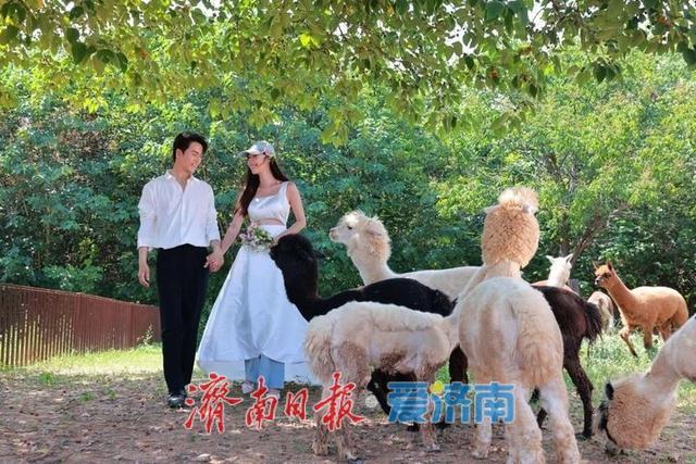 抓住暑假尾巴！济南野生动物世界日夜奇幻狂欢，甜蜜恋爱季点燃盛夏终章