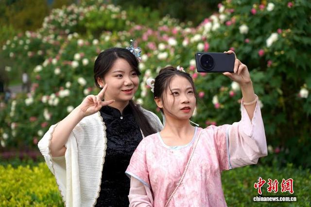 成都天府芙蓉园花开满园：吸引市民游客簇拥赏花拍照