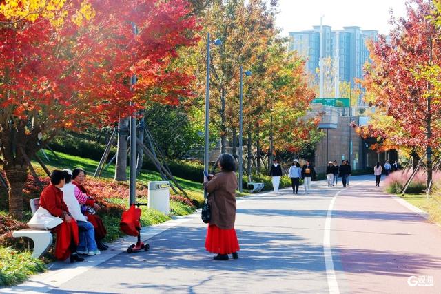 青岛人家门口的“生态园”：一河秋景，满园生机