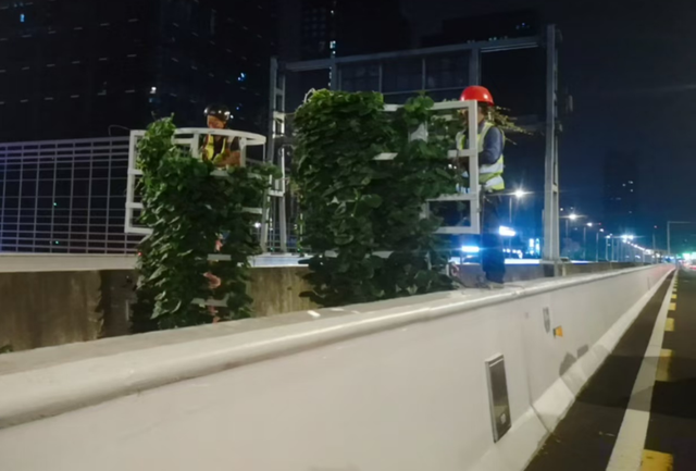 成都天府大道换上双节“限定皮肤”