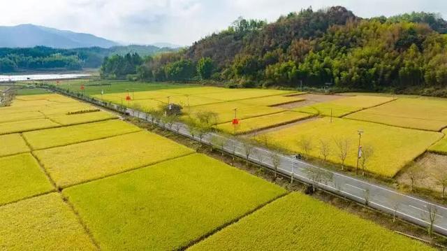 秋风骑行正当时！解锁龙岩宝藏路线